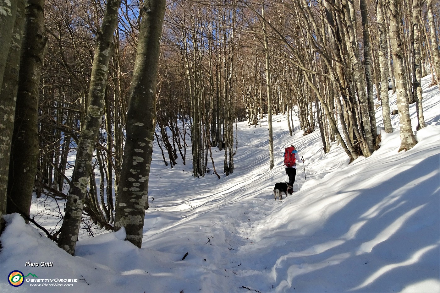 27 Salendo nella bellissima faggeta pestando neve.JPG